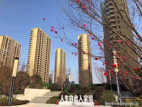 鎮(zhèn)江新盤速遞 一站式獲取樓盤動(dòng)態(tài)、地址戶型與教育資源解析